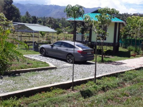 Hotels in Mudumalai
